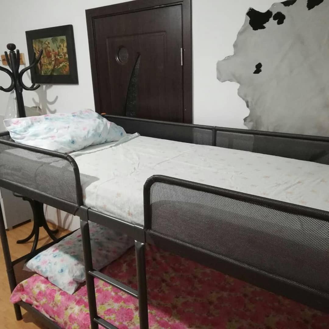 Leyla Hostel ブラショフ エクステリア 写真