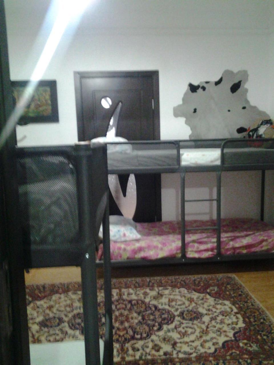 Leyla Hostel ブラショフ エクステリア 写真