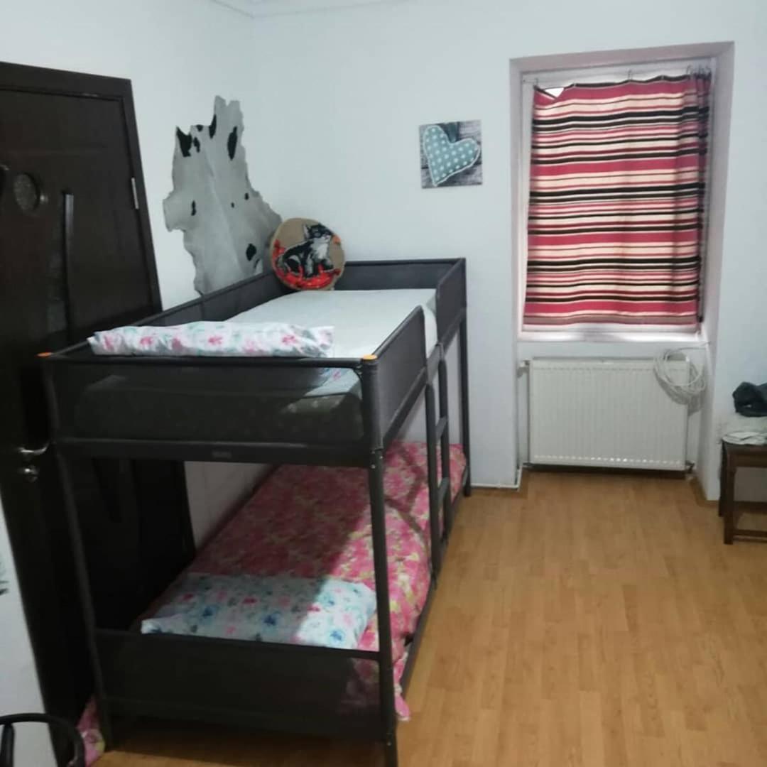 Leyla Hostel ブラショフ エクステリア 写真