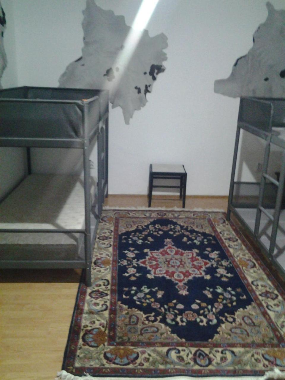 Leyla Hostel ブラショフ エクステリア 写真