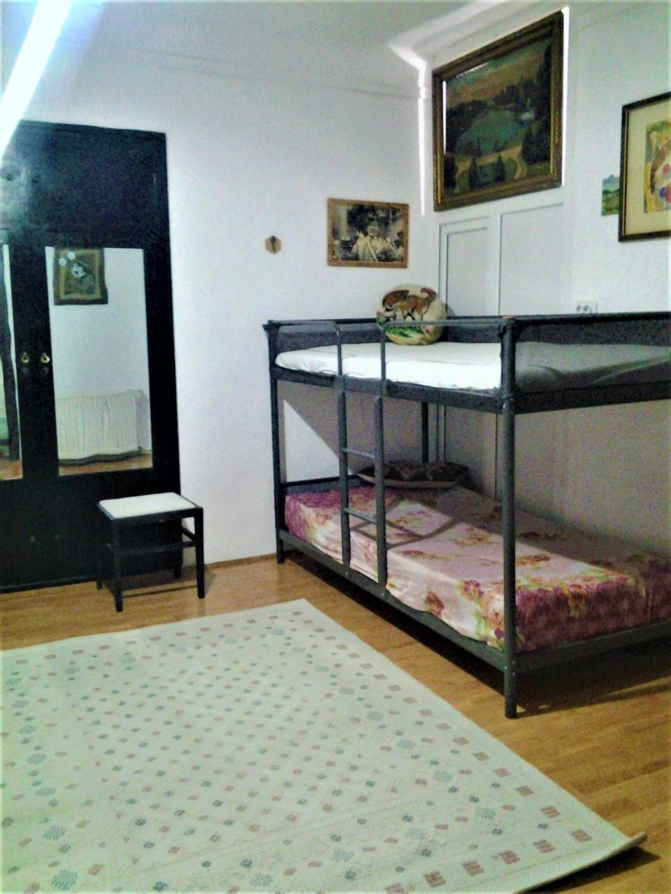Leyla Hostel ブラショフ エクステリア 写真