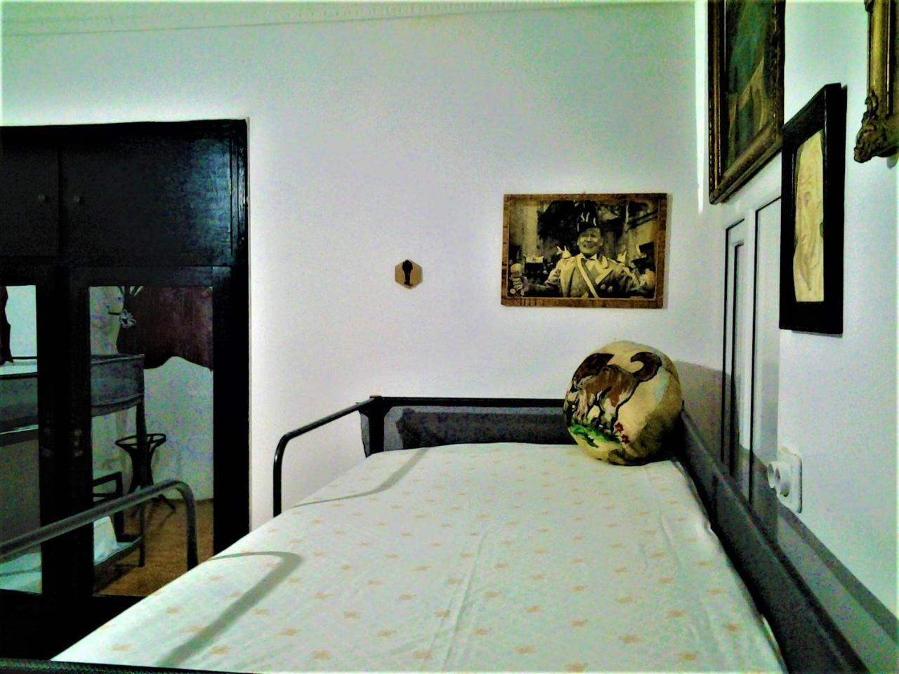 Leyla Hostel ブラショフ エクステリア 写真