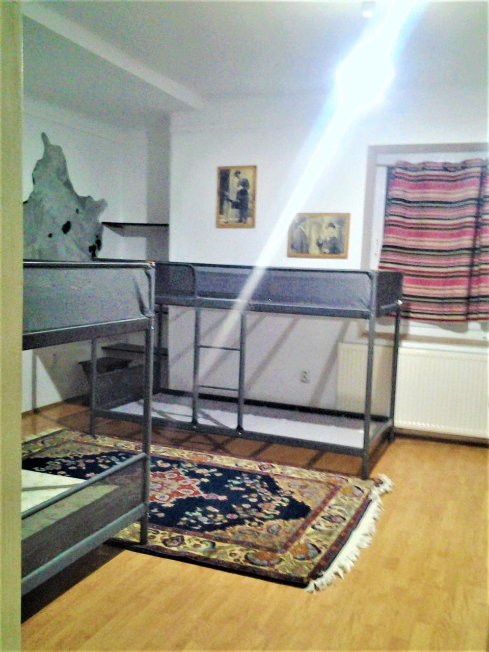 Leyla Hostel ブラショフ エクステリア 写真