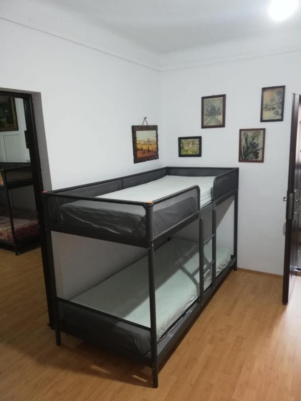 Leyla Hostel ブラショフ エクステリア 写真