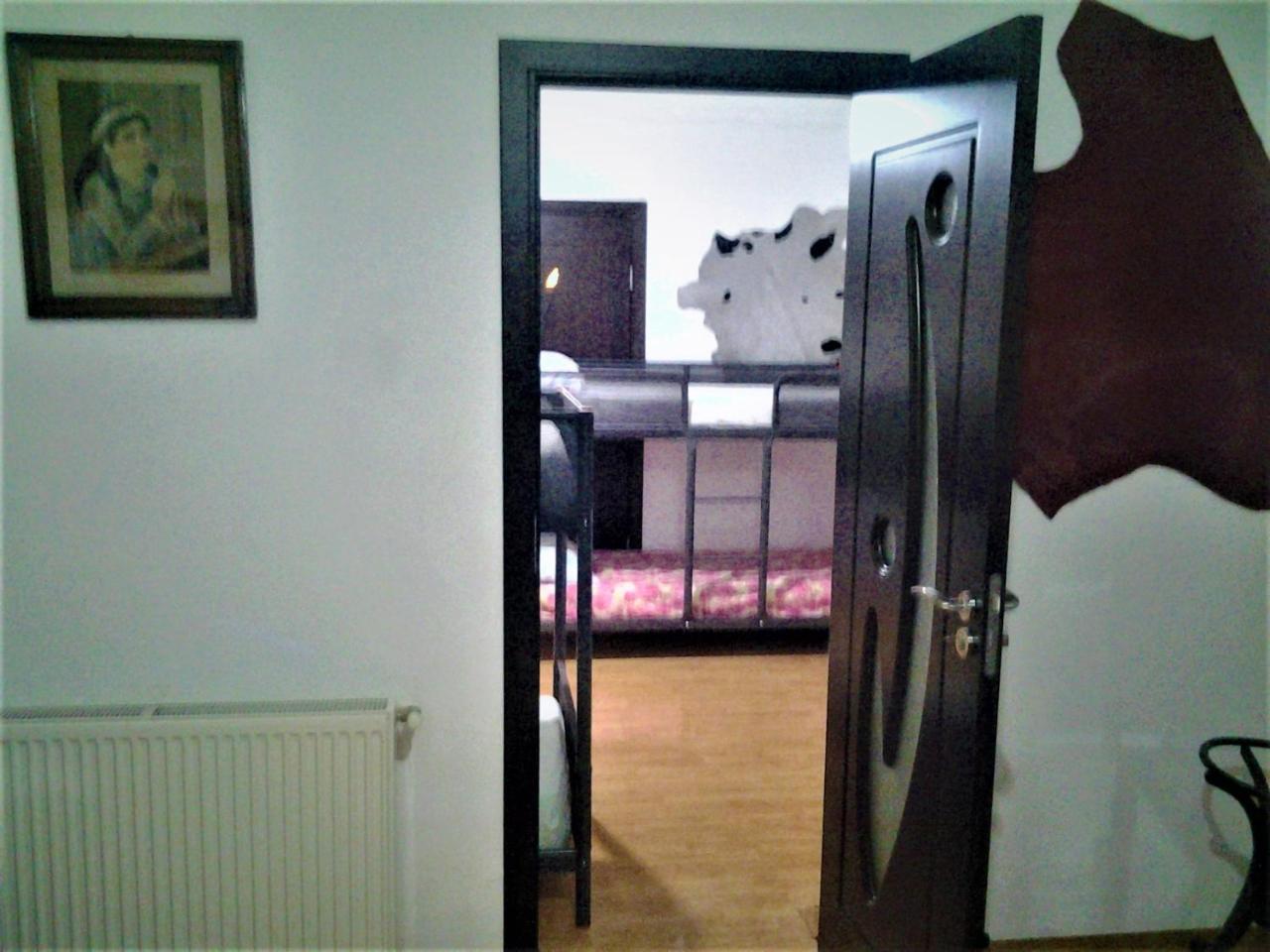 Leyla Hostel ブラショフ エクステリア 写真