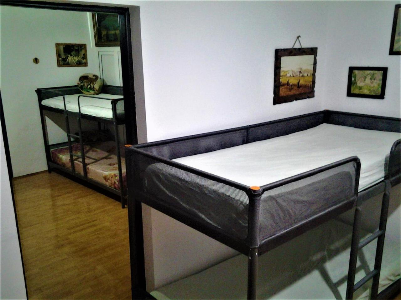 Leyla Hostel ブラショフ エクステリア 写真