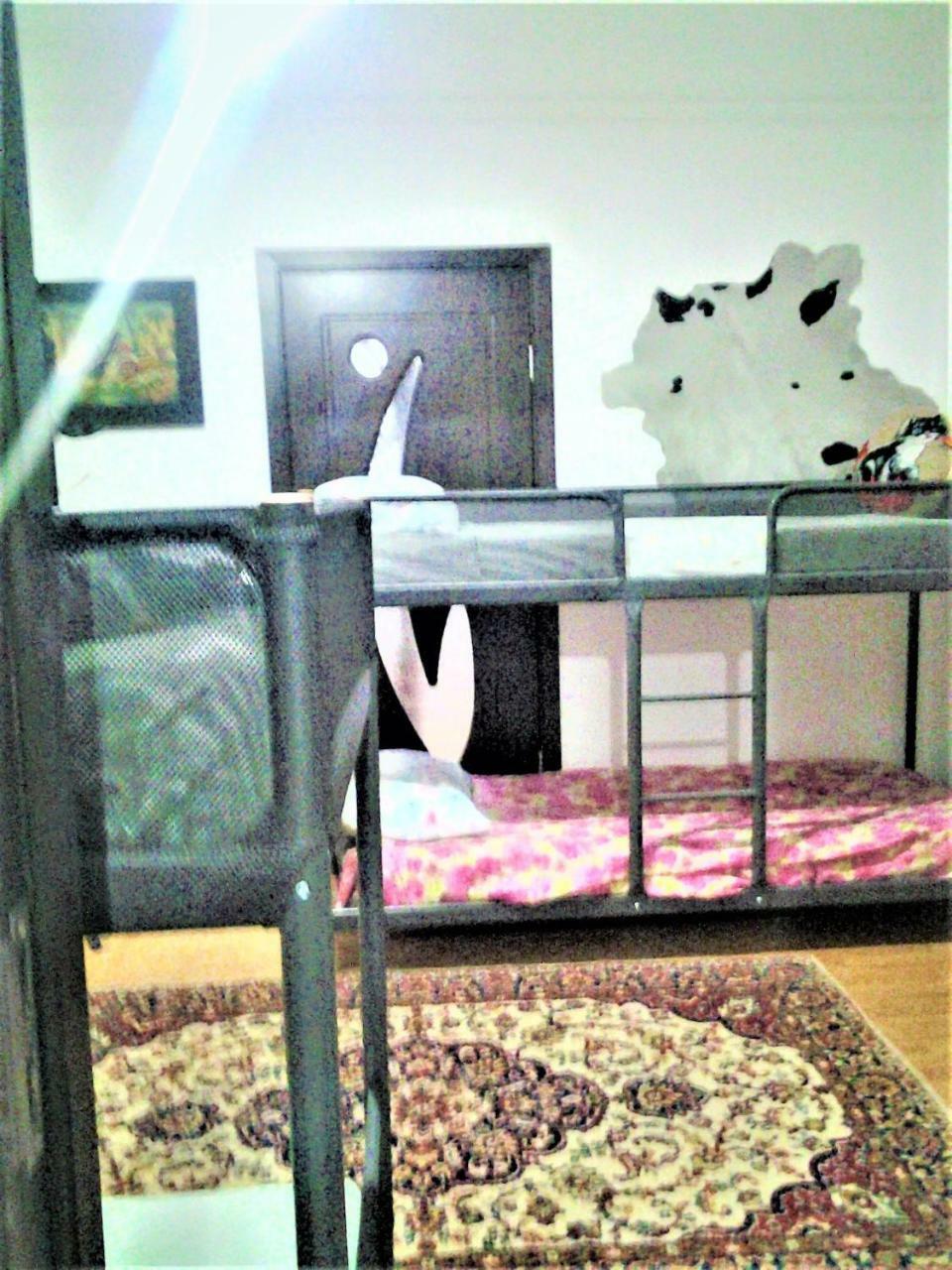 Leyla Hostel ブラショフ エクステリア 写真