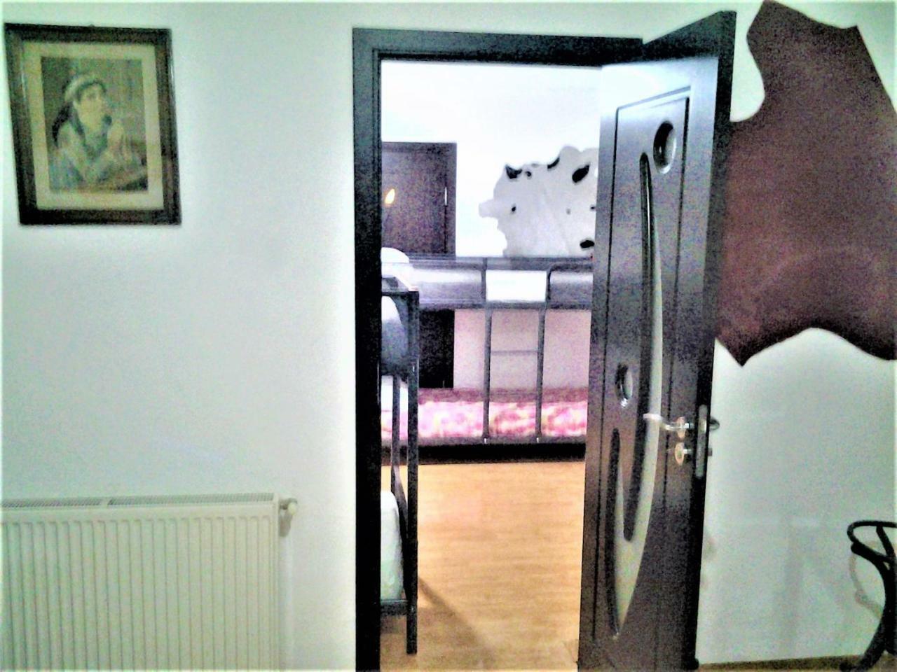 Leyla Hostel ブラショフ エクステリア 写真