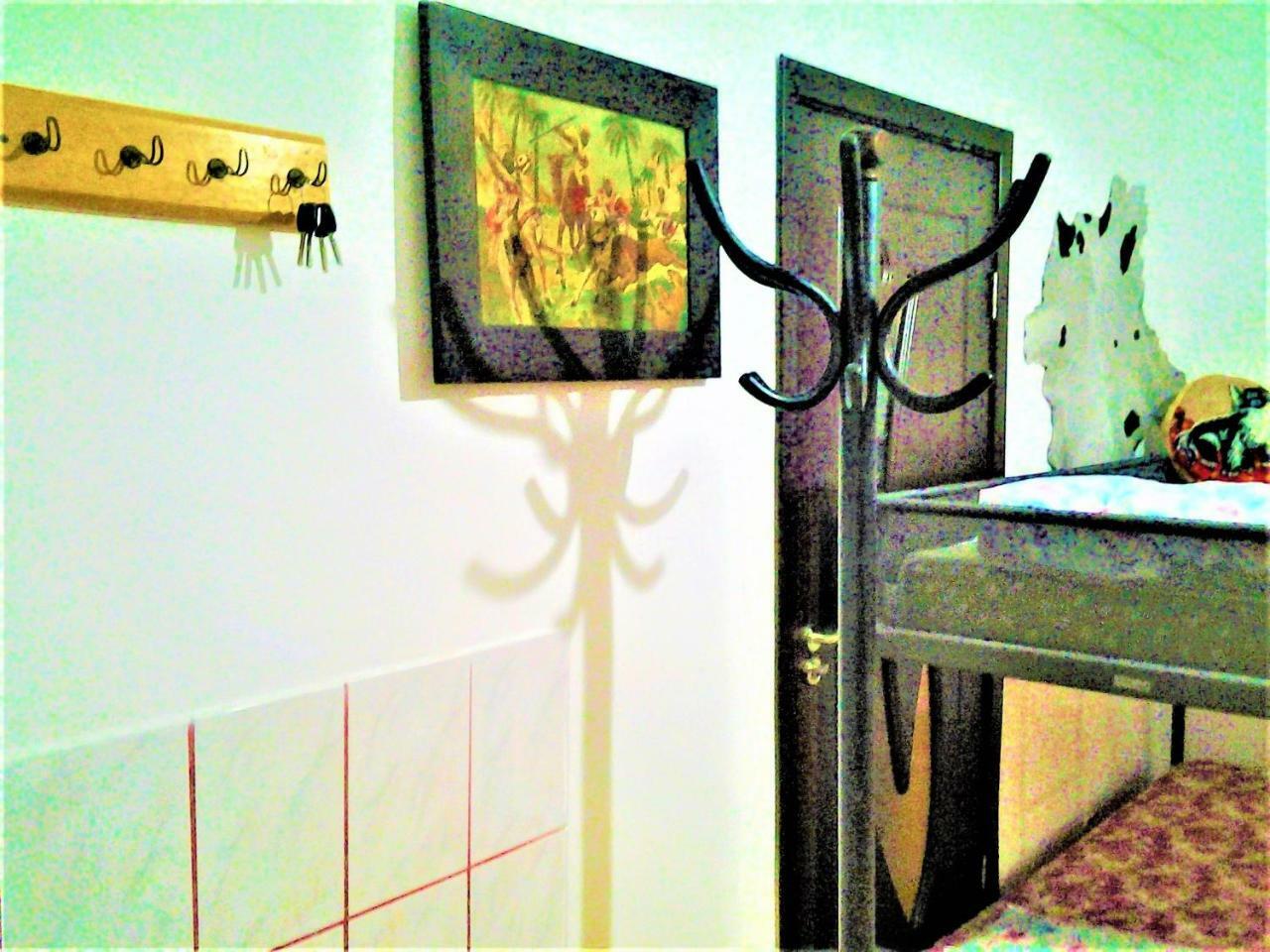 Leyla Hostel ブラショフ エクステリア 写真